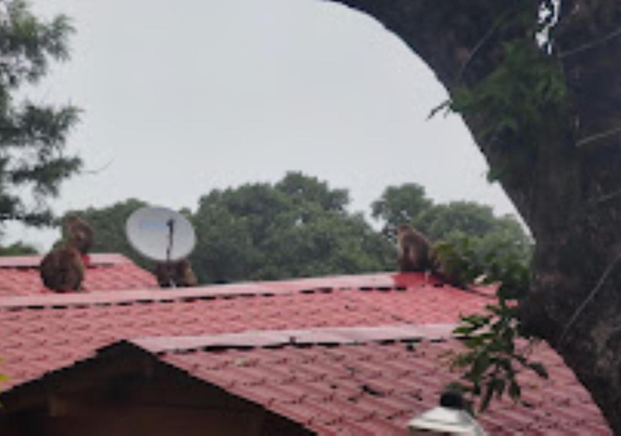 Kaas Woods Resort Yavateshwar Satara Exterior photo